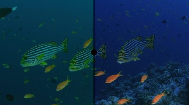 UnderWater Teal LUT